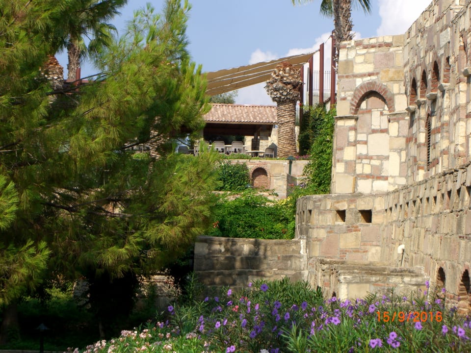 Gartenanlage Arum Barut Collection