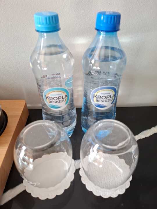 Zimmer ARCHE Dwór Uphagena Gdańsk