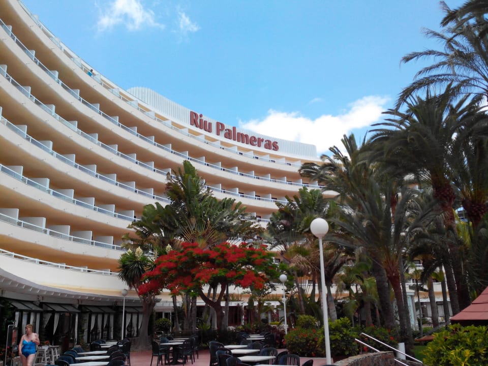 Gartenseite Hotel Riu Palace Palmeras