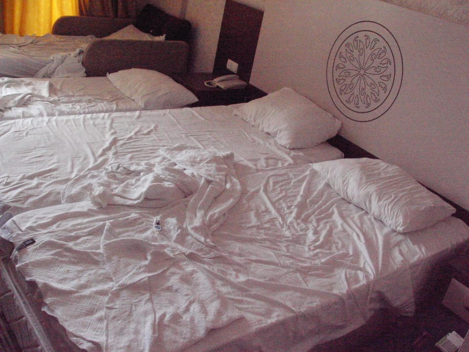 Mehr Betten passen nicht! Side Alegria Hotel & Spa - Adults only +16