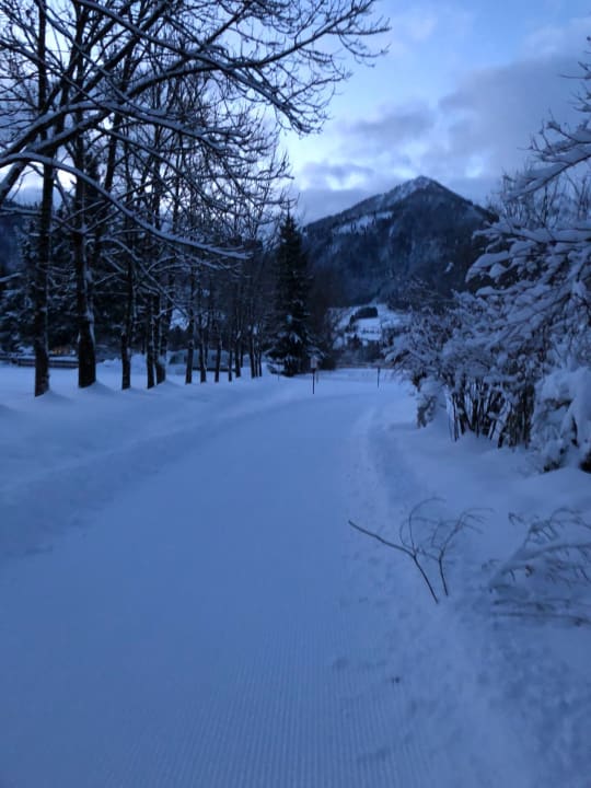 Ausblick Hotel Seehof
