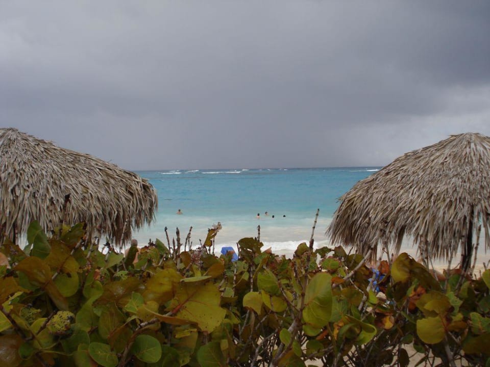 Was für ein Bild Grand Palladium Select Bávaro Resort & Spa