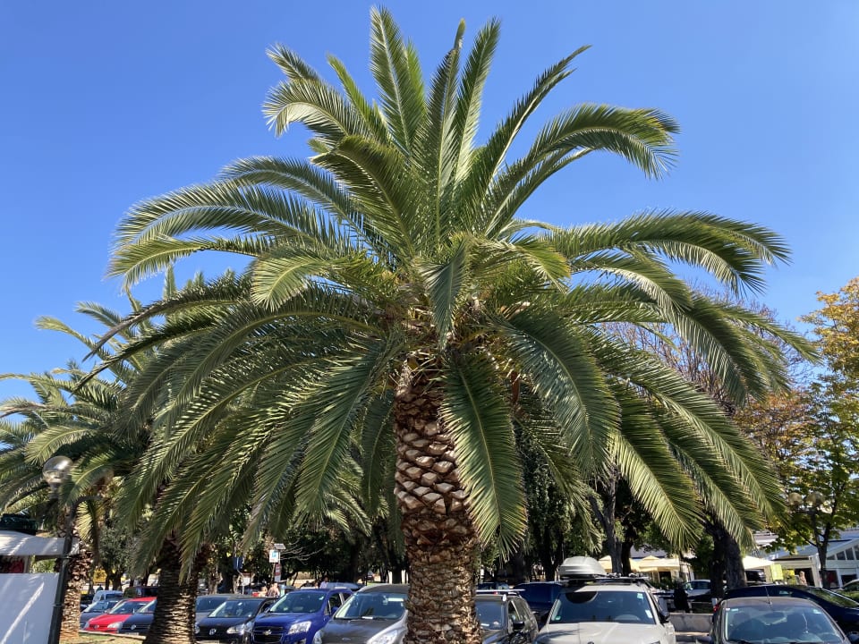 Gartenanlage Hotel Molindrio Plava Laguna