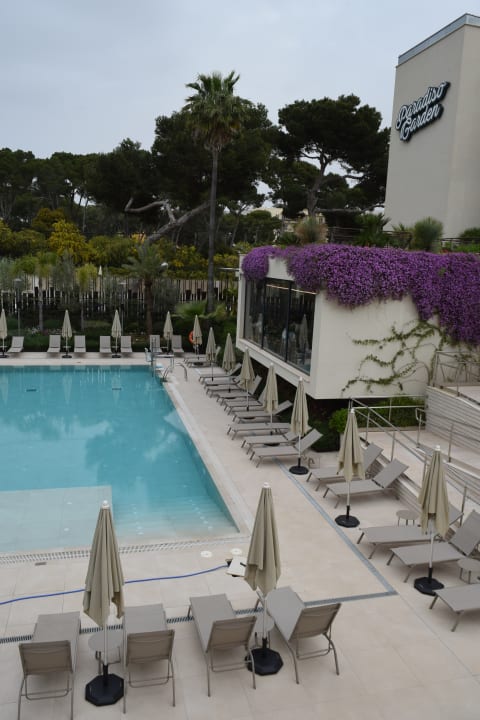 Pool Paradiso Garden