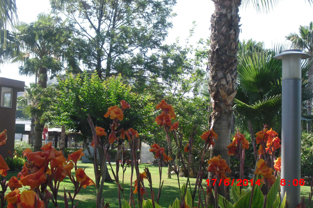 Gartenanlage Arycanda Kirman Premium