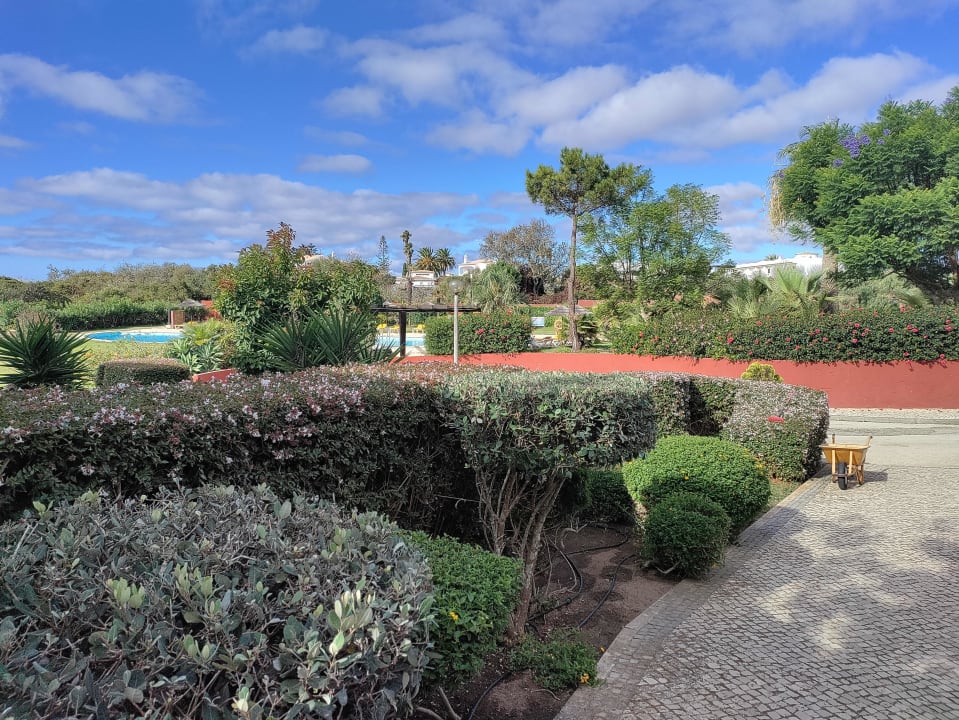 Gartenanlage Hotel Luzmar Villas