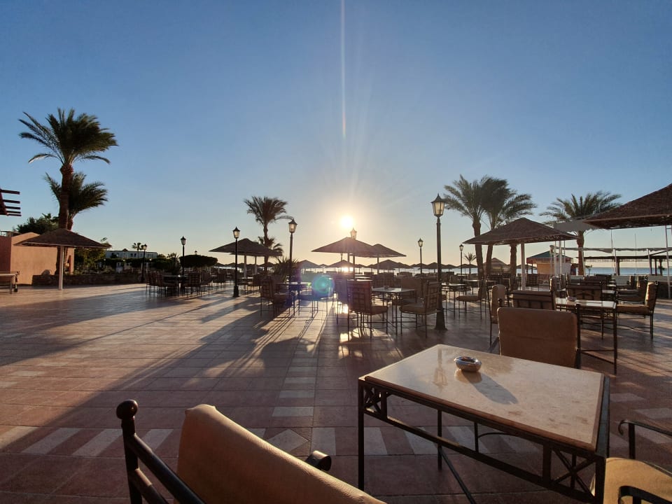 Gastro Eagles Paradise Abu Soma