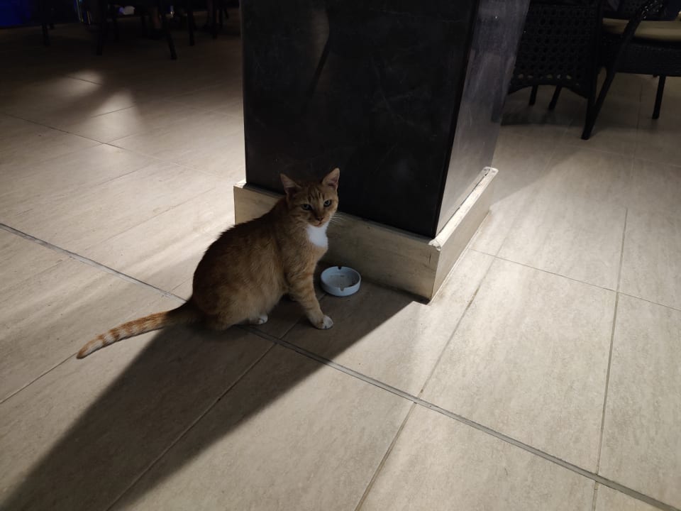 Sonstiges TUI BLUE Seno - Adults Only