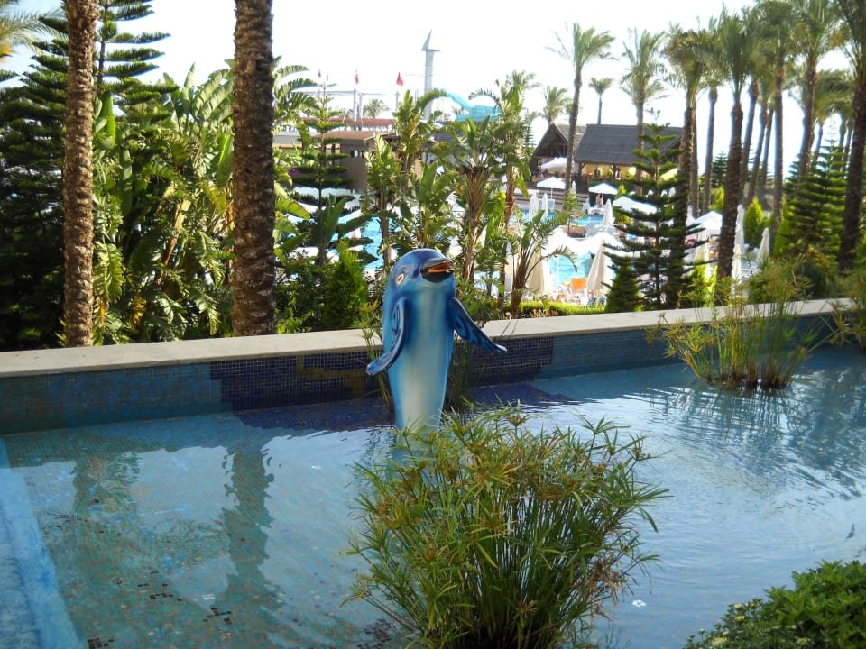 Вид из бара Hotel Delphin Imperial