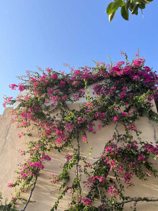 Außenansicht Anissa Beach & Village