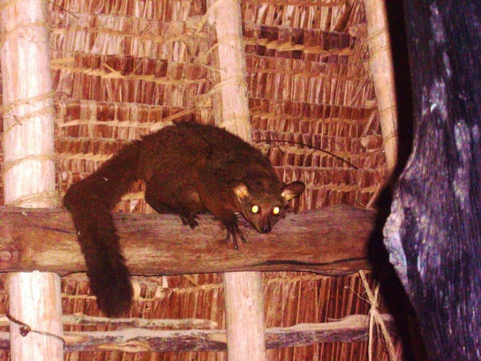 5°° Uhr kur vor der Heimreise Hotel Papillon Lagoon Reef