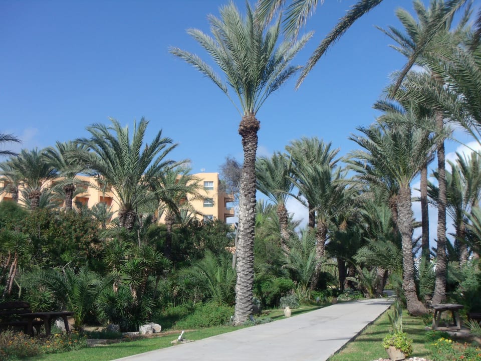 Lädt zum Spazieren ein El Ksar Resort & Thalasso