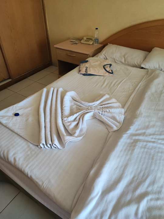 Zimmer Ghazala Gardens