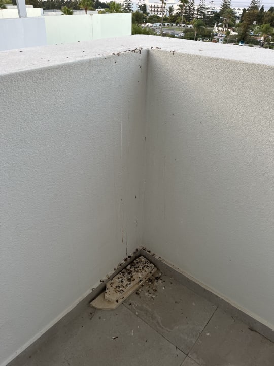 Außenansicht Blue Lagoon Ocean