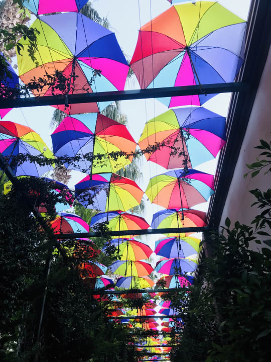 Gartenanlage Hane Family Resort