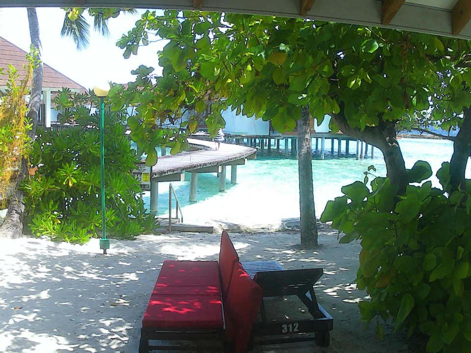 Zimmer Ellaidhoo Maldives by Cinnamon