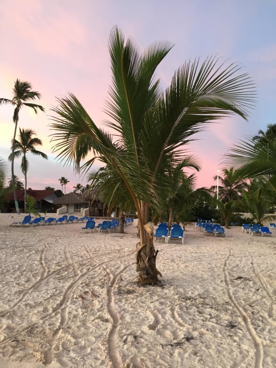 Strand Villas Bavaro Resort & Spa