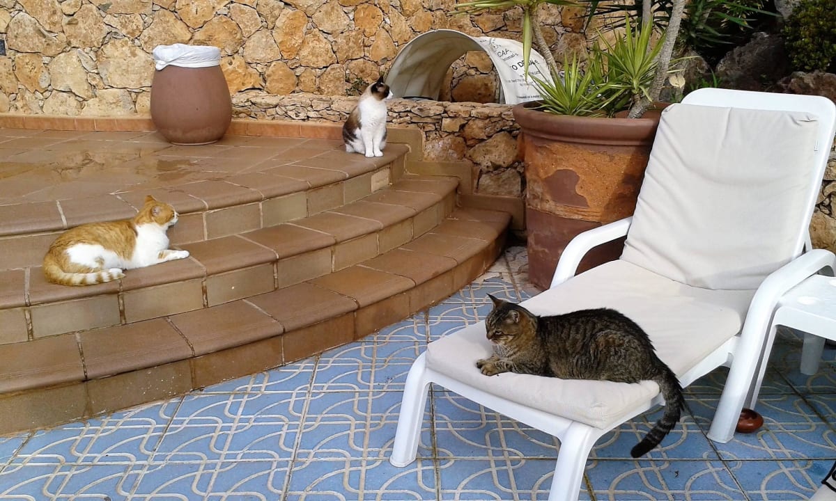 Liegenbesetzer MUR Hotel Faro Jandia & Spa Fuerteventura