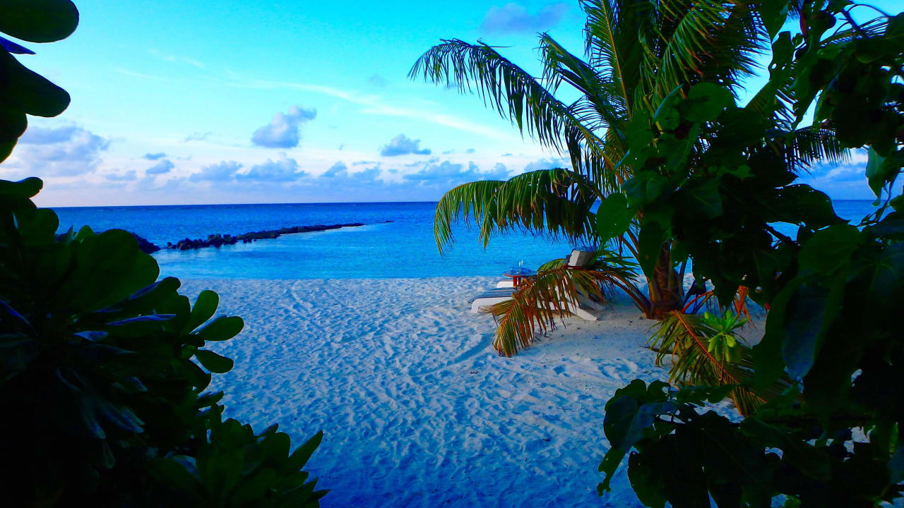 Widok z domku Summer Island Maldives