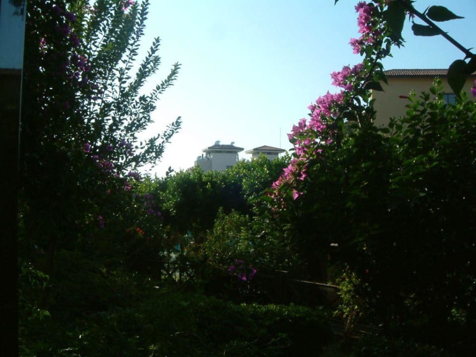 Blick vom Balkon Alba Resort Hotel