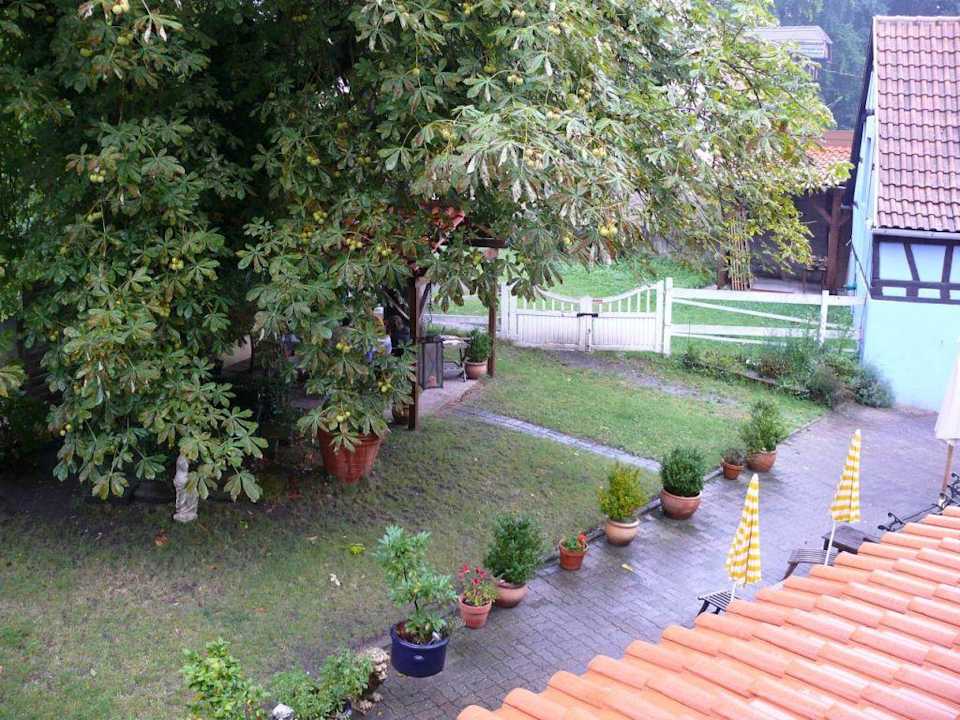 Ausblick aus dem Seezimmer Gästezimmer im schönen Elsaß