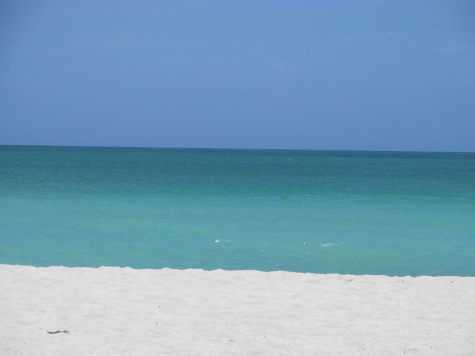 Wunderschöner Strand The Palms Hotel & Spa