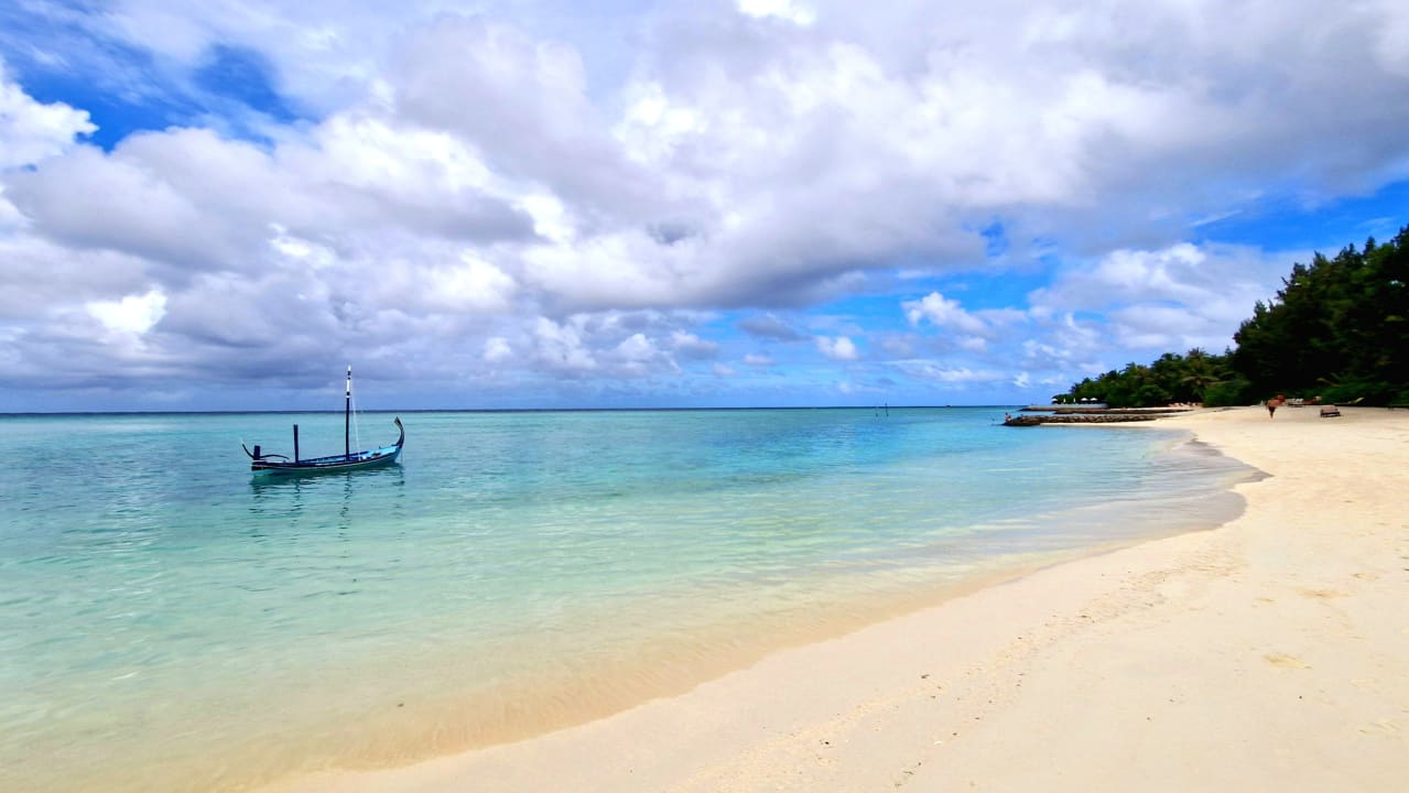 Strand Summer Island Maldives