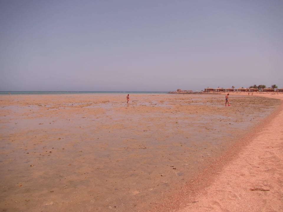 Meer geht bei Flut gerade bis zum Knöchel Stella Beach Resort & Spa Makadi Bay