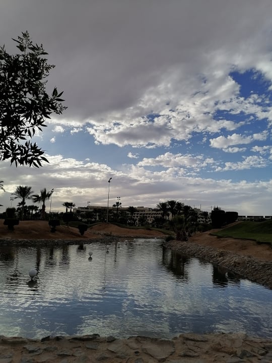 Gartenanlage Steigenberger Aqua Magic