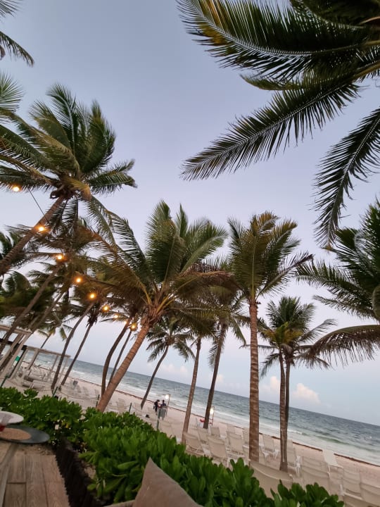 Strand Catalonia Royal Tulum Beach & Spa Resort - Adults only