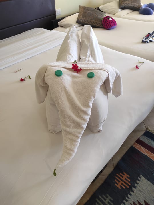 Zimmer Casa Mare Resort