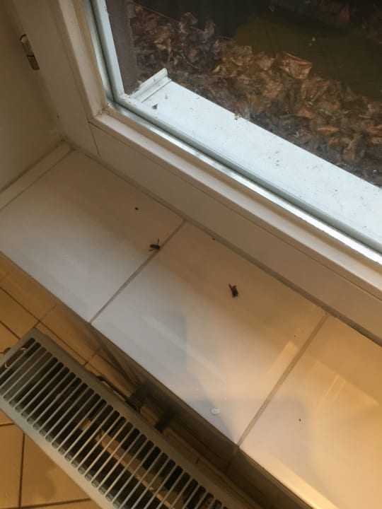 Zimmer Landhaus Wiesemann - Ferienwohnungen in Bestlage