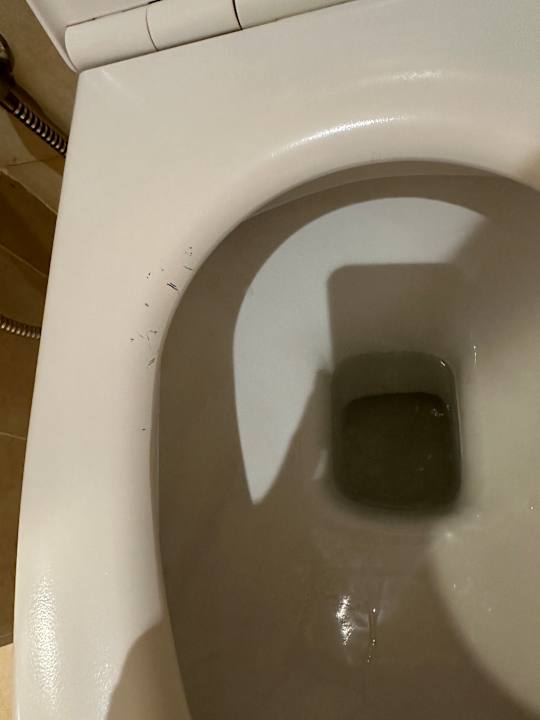 Zimmer Medina Solaria & Thalasso