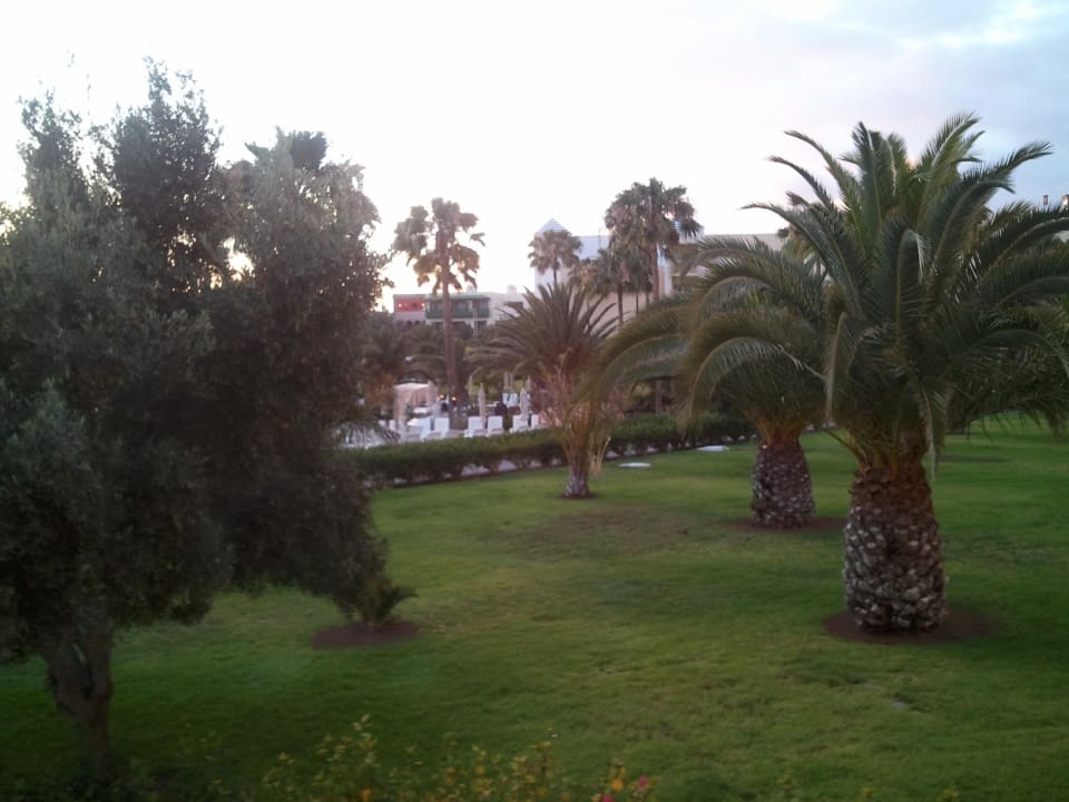Sicht vom Balkon Richtung Pool und Meer Hotel Riu Gran Canaria