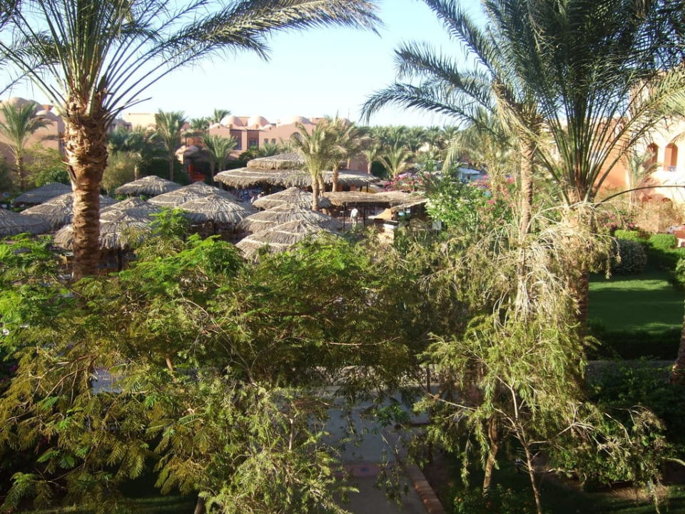 Blick vom Balkon Jaz Makadi Oasis Resort