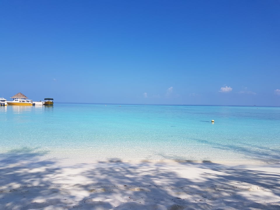 Strand Summer Island Maldives