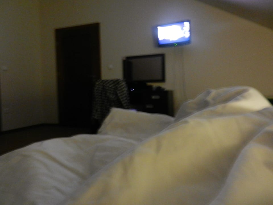 Pokój Hotel Palac Pawlowice