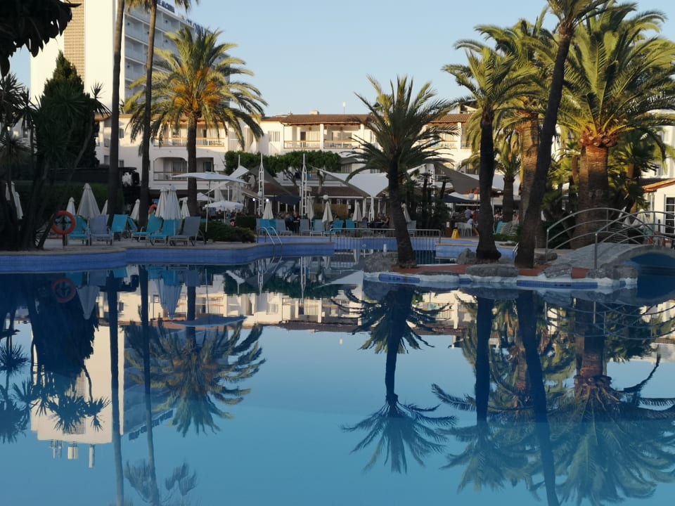 Pool Alcudia Garden Aparthotel