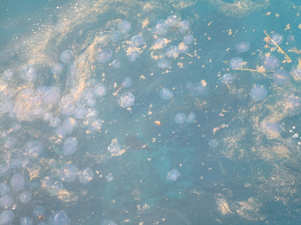 Strand Steigenberger Coraya Beach - Adults only