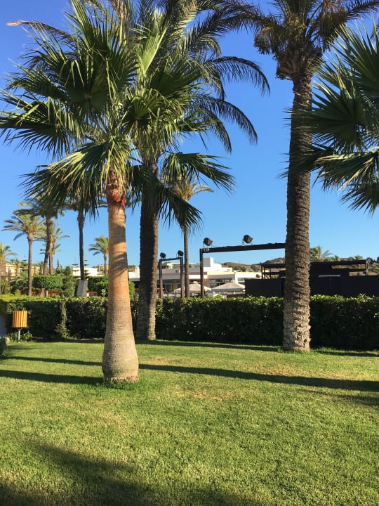 Gartenanlage Hotel Horizon Beach Resort