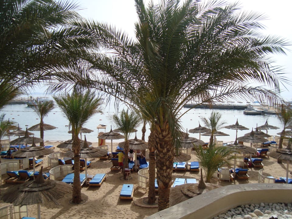 Strand Beach Albatros Resort