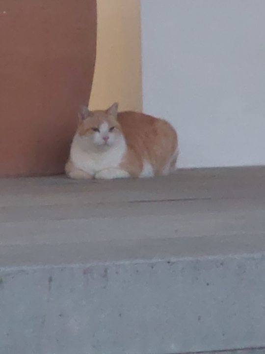 Außenansicht Iberostar Selection Santa Eulalia Ibiza