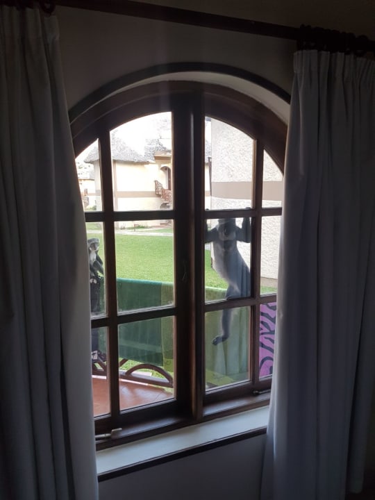 Zimmer Neptune Paradise Beach Resort & Spa