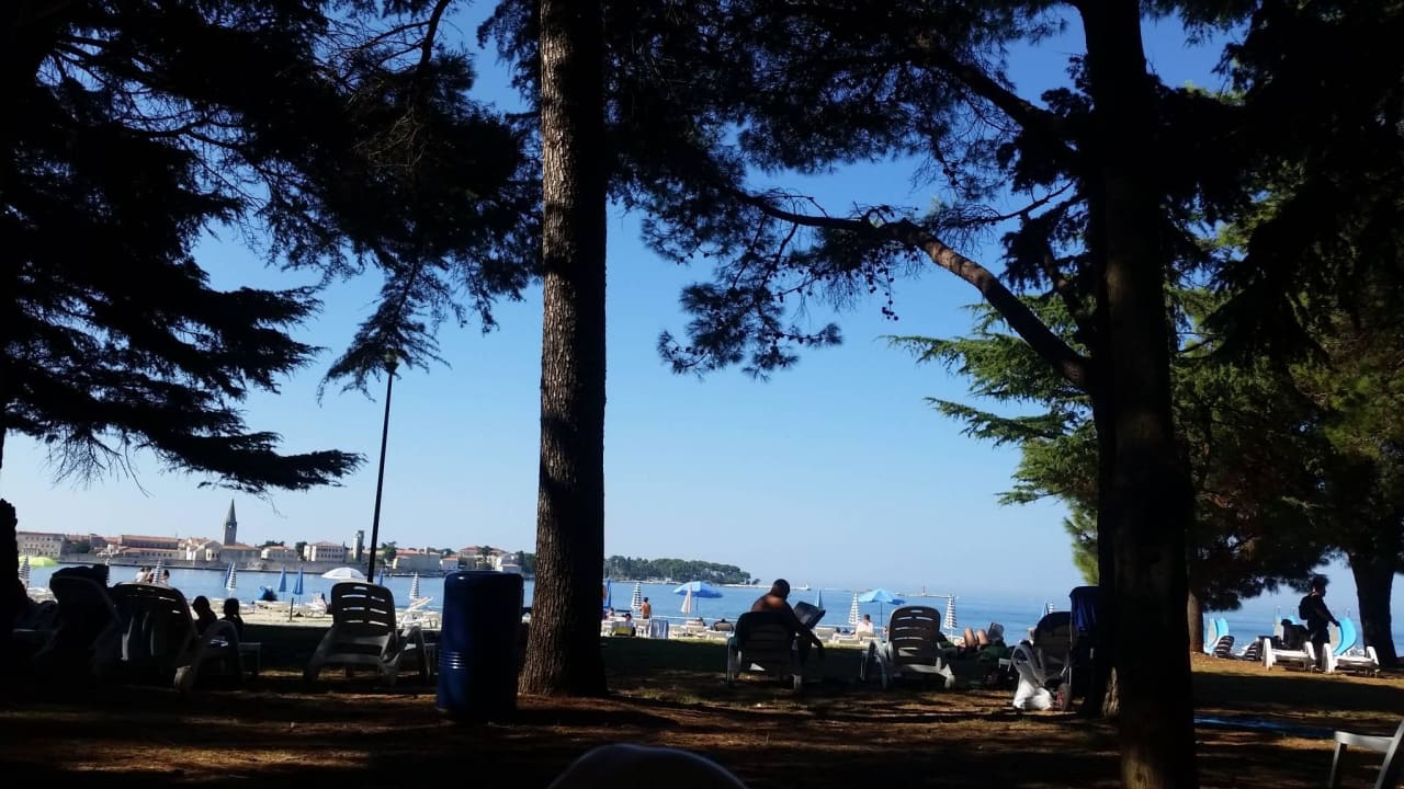 Blick vom Pinienwald aufs Meer Valamar Parentino Hotel
