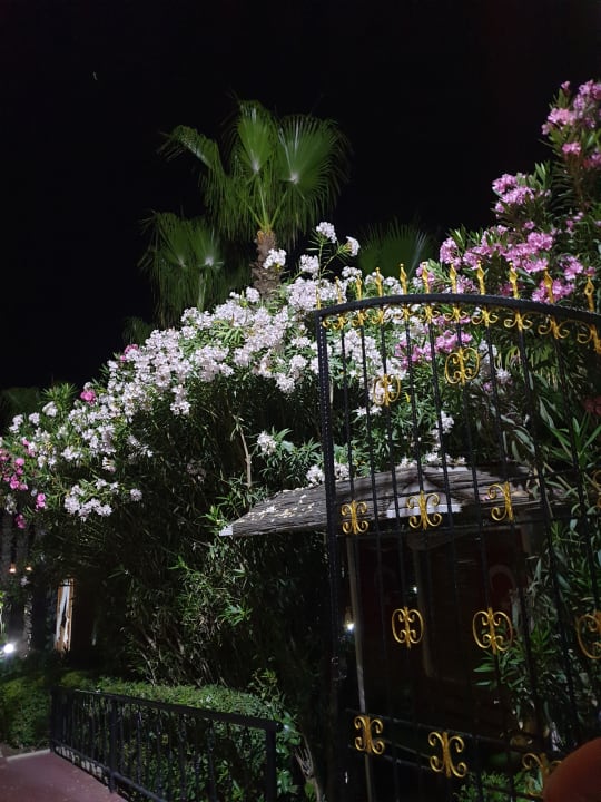 Gartenanlage Hotel Delphin Diva