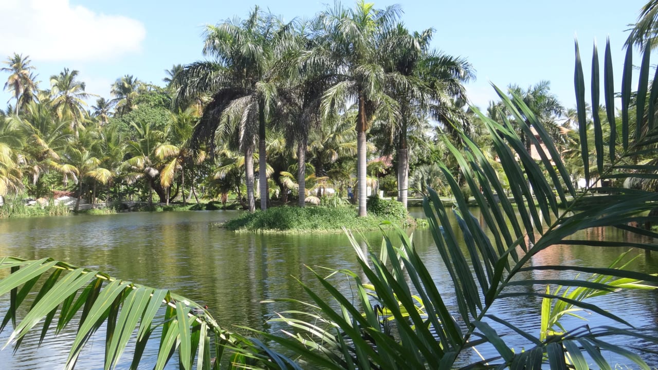 'Hinter' den Zimmern Villas Bavaro Resort & Spa