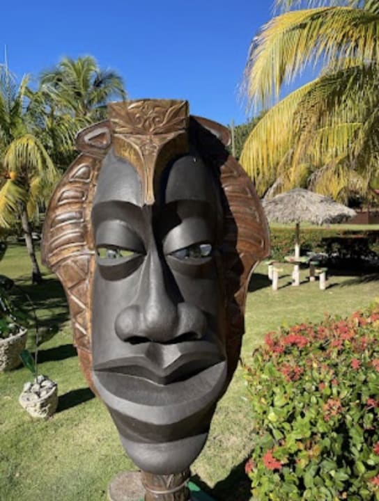 Gartenanlage Royalton Hicacos Resort & Spa - Adults only