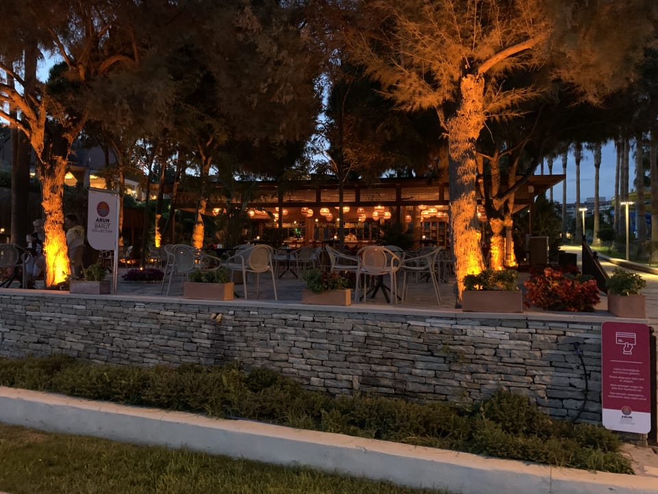 Gastro Arum Barut Collection