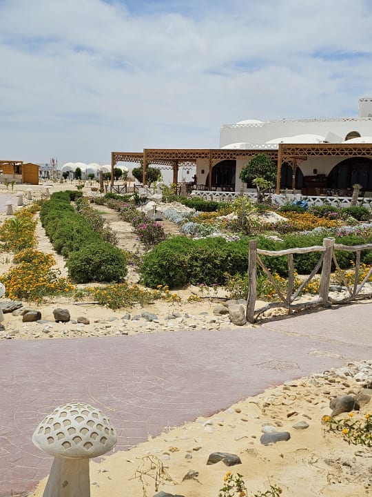 Außenansicht Beach Safari Nubian Resort