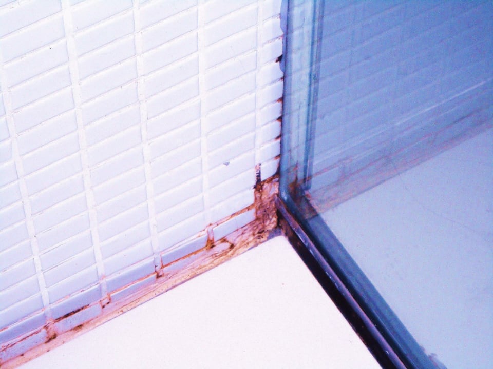 Schimmel an der Wand Hotel Cram